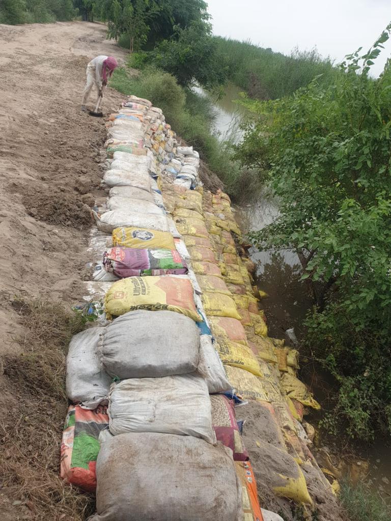 Post Flood Normalcy -  In adjacent  Sutlej areas, life begins to return to normal