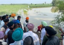 Bajwa slams AAP for adopting laxity while flood threats loom large