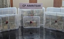 Amritsar robbery case daughter of victims driver her fiance among 7